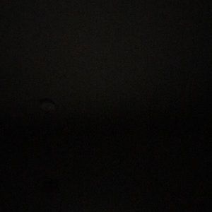 Meet your Posher, Coco